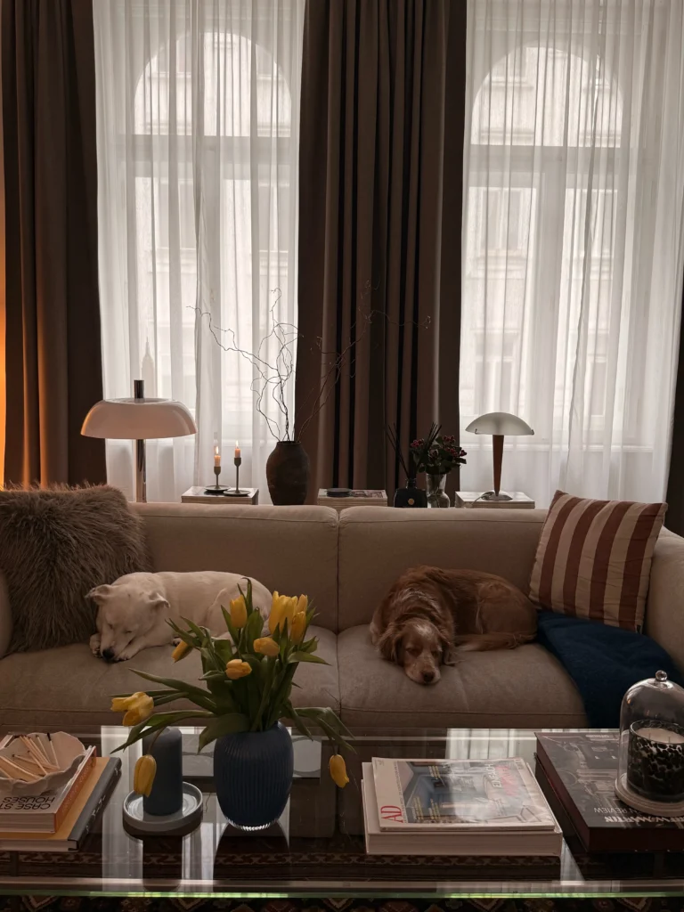 Cozy living room with sleeping dogs